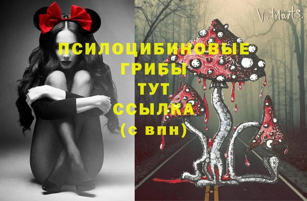бошки Алзамай