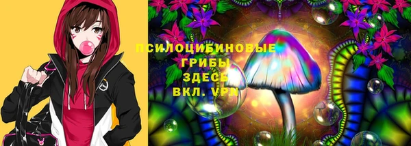 PSILOCYBIN Алексеевка