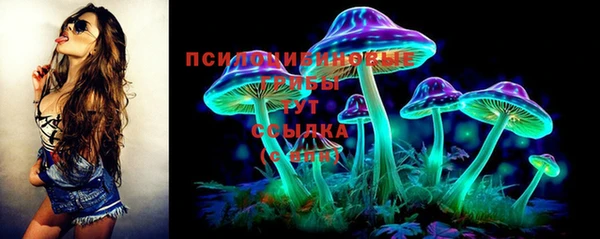 бошки Алзамай